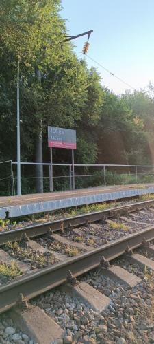 IMG 20230705 054049