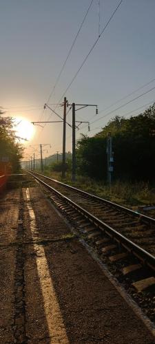 IMG 20230705 054120